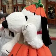 たなひろの画像