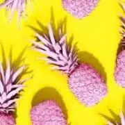 WRʕ•̫͡•の画像