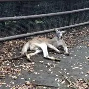 プロフ確認‼︎の画像
