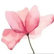 ゆめ