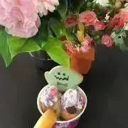 ぴこままの画像