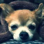 ひぐま▷プロフ必読の画像