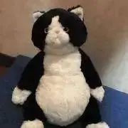 はっぱふみふみの画像