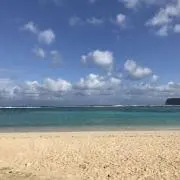 Image of まー※2〜3日ほどで配送出し可能です