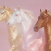 おつきの画像