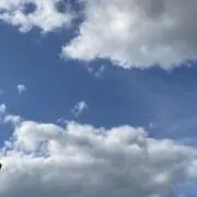 ともみんの画像