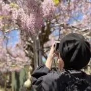 絃 -翌日発送-の画像
