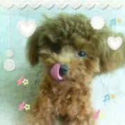 noe