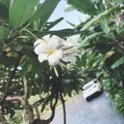 まりん