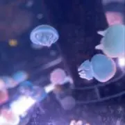 すぐる