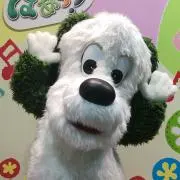 な