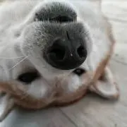 あずさ ※プロフ確認お願い申し上げますの画像