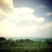 @0の画像