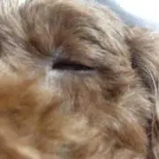 ゆき＊断捨離中の画像