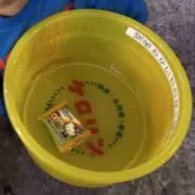 けろ:) プロフの確認お願いします。の画像