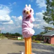 tae*の画像