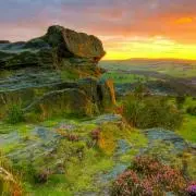 AAA