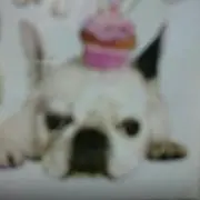 ☆☆N′s☆☆(プロフ必読お願いします)の画像