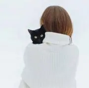 わんだふるの画像