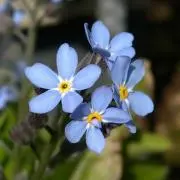 ashitoの画像