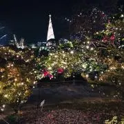 mecoruteの画像