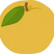 なしの画像