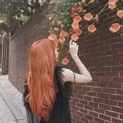 なこ