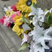 なり、の画像