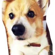 もか