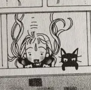 美の画像