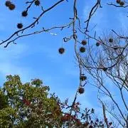 引越しセール　cha⭐︎の画像