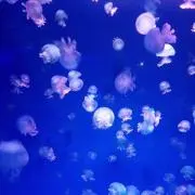 もなか　⭐プロフ要確認⭐の画像