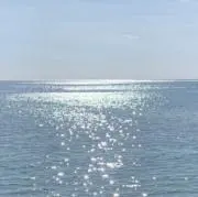 Mizuの画像