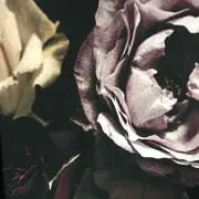 わっしょ
