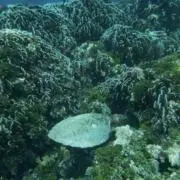 ＨＨの画像