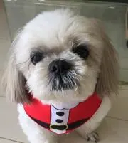 ぼすお