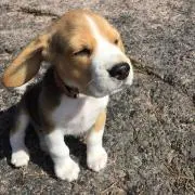 みなみやの画像