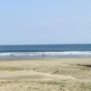 どんどこドンちゃん