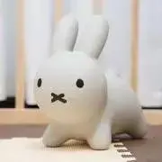 みっふぃーの画像