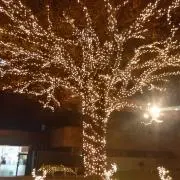 ゆーみの画像