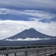 elivingyoungの画像