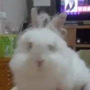 まる