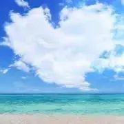 Rの画像