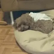 ひろ