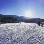 MIRYUの画像