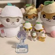 みそかつの画像