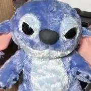 ネコ