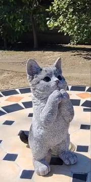 もりりんの画像