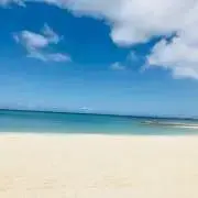 海の画像
