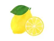 レモンの画像